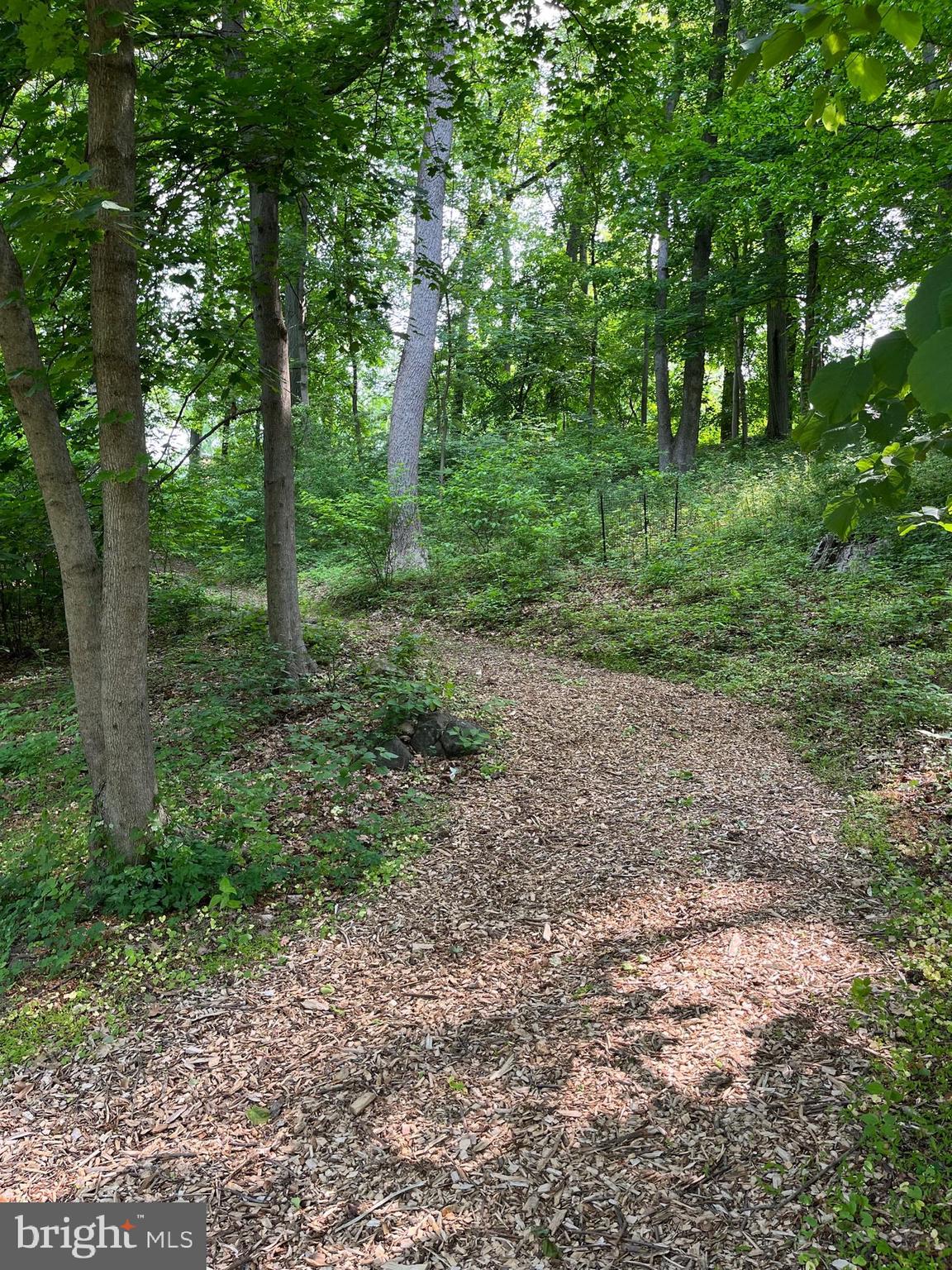 1650 Mt Pleasant Road Villanova, PA 19085 - Photo 52 of 55 Barn Trail