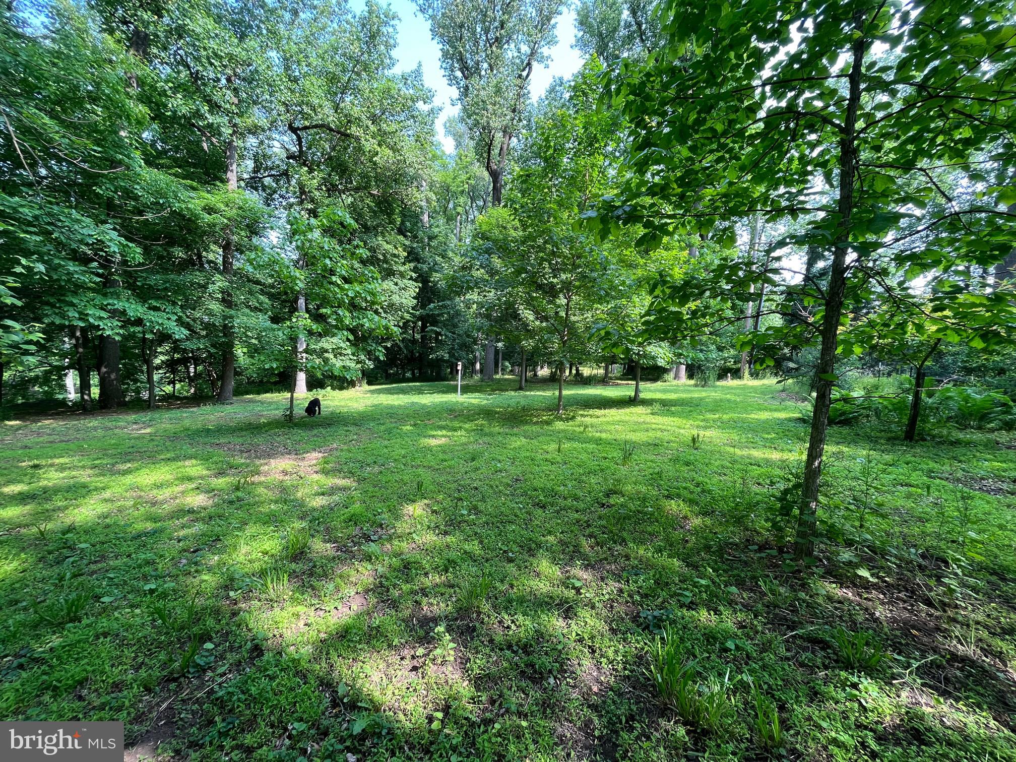 1650 Mt Pleasant Road Villanova, PA 19085 - Photo 53 of 55 Upper Meadow and Woods