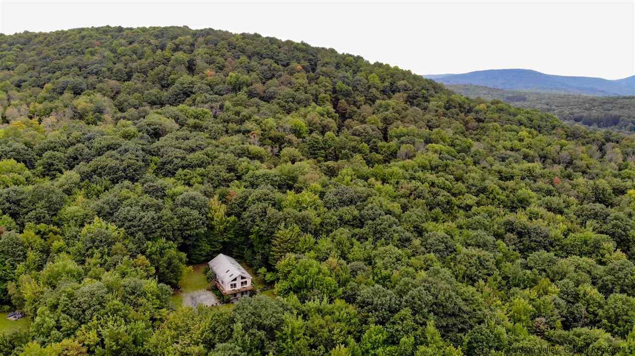 293 Barley Road Pine Hill, NY 12465 - Photo 25 of 25 a view of a back yard