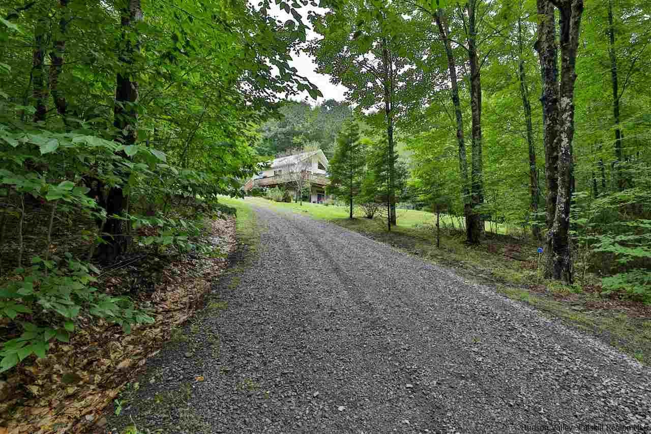 293 Barley Road Pine Hill, NY 12465 - Photo 4 of 25 a view of a forest with trees in the background