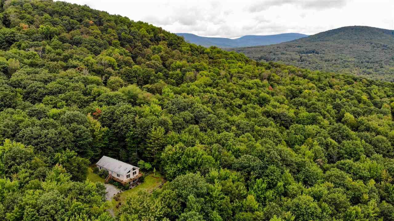 293 Barley Road Pine Hill, NY 12465 - Photo 5 of 25 a view of a lush green field with a houses