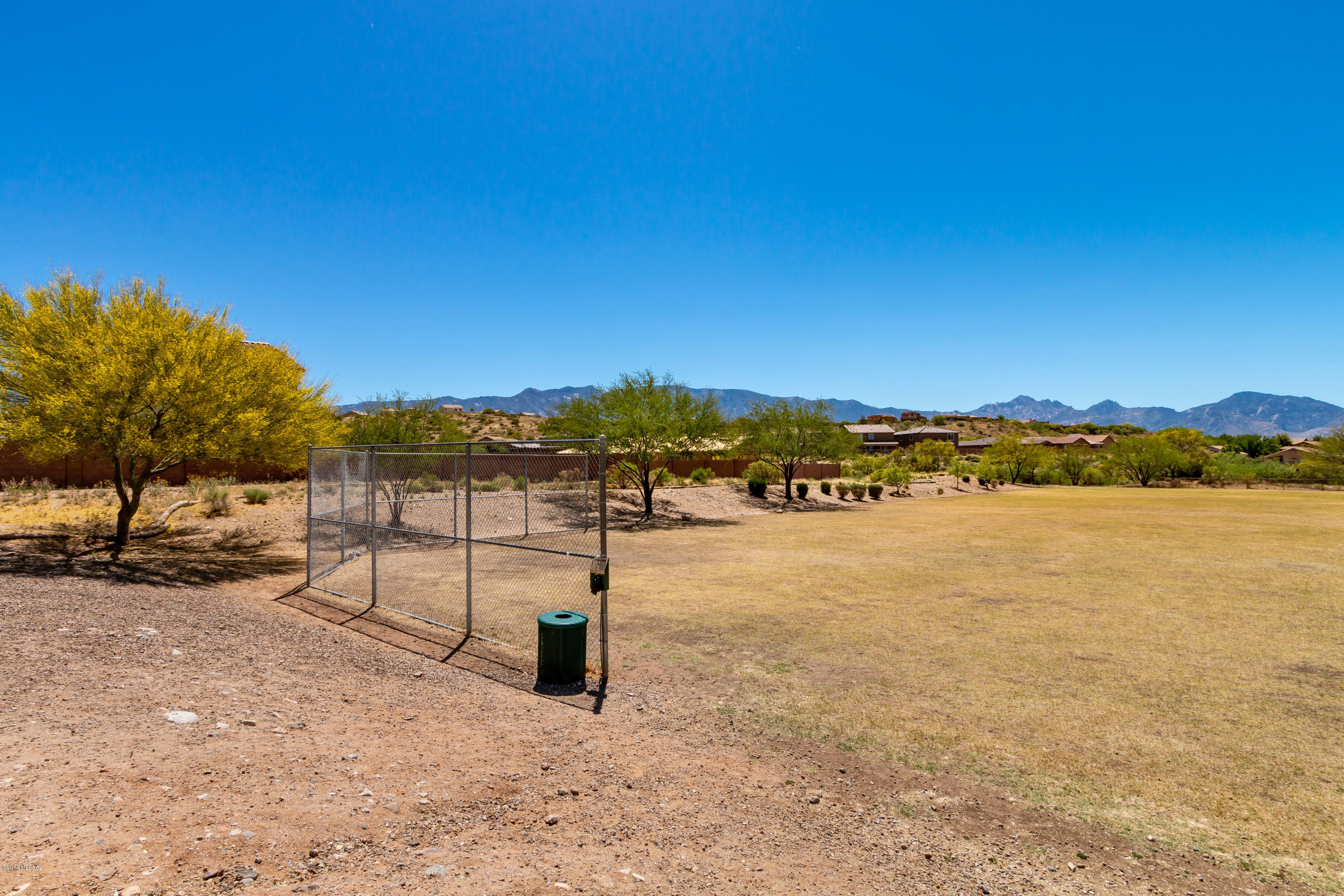 39118 Rodeo Buckle Drive Tucson, AZ 85739 - Photo 45 of 45