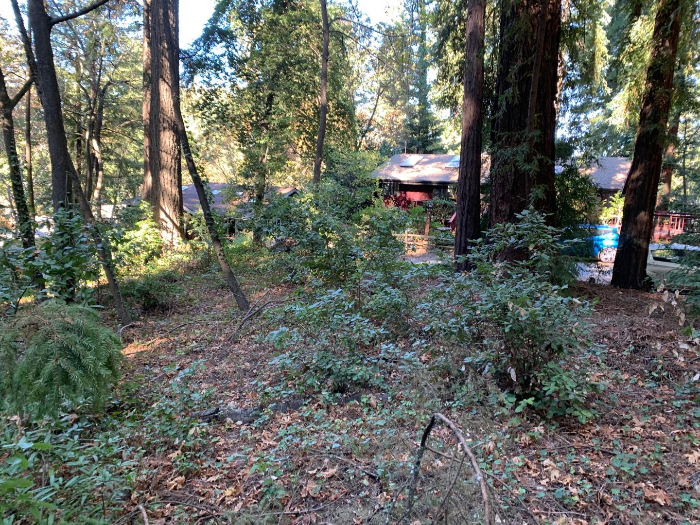 1 Santa Ana Road Los Gatos, CA 95033 - Photo 3 of 8 a view of a park