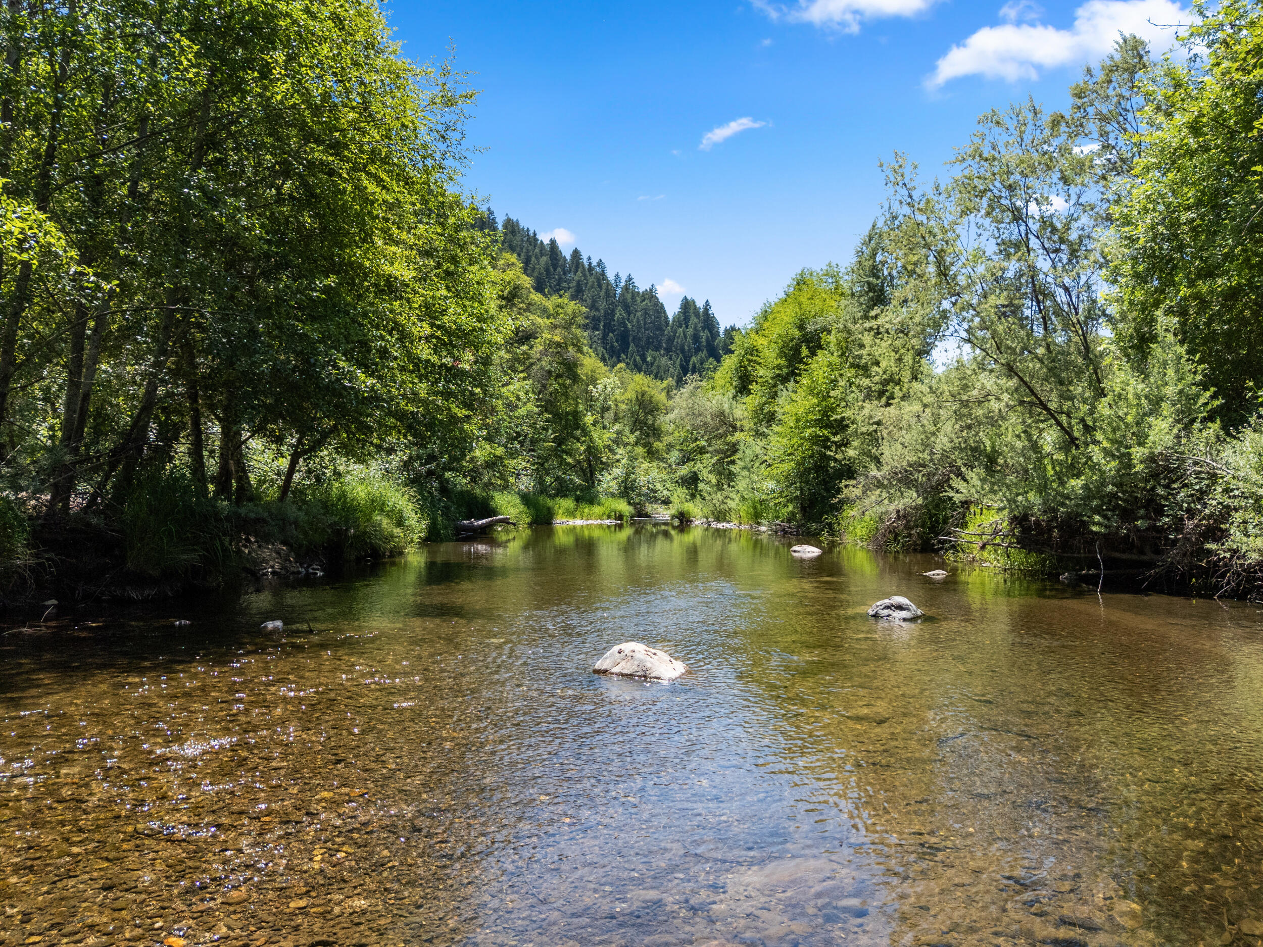 13500 East Evans Creek Road Rogue River, OR 97537 - Photo 4 of 78