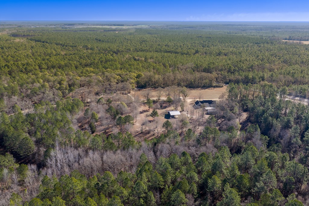 9822 Bill Bass Road Andalusia, AL 36420 - Photo 64 of 71