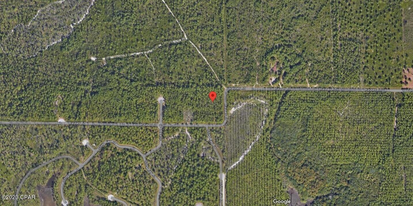 11831 Hauser Road Panama City, FL 32404 - Photo 2 of 3