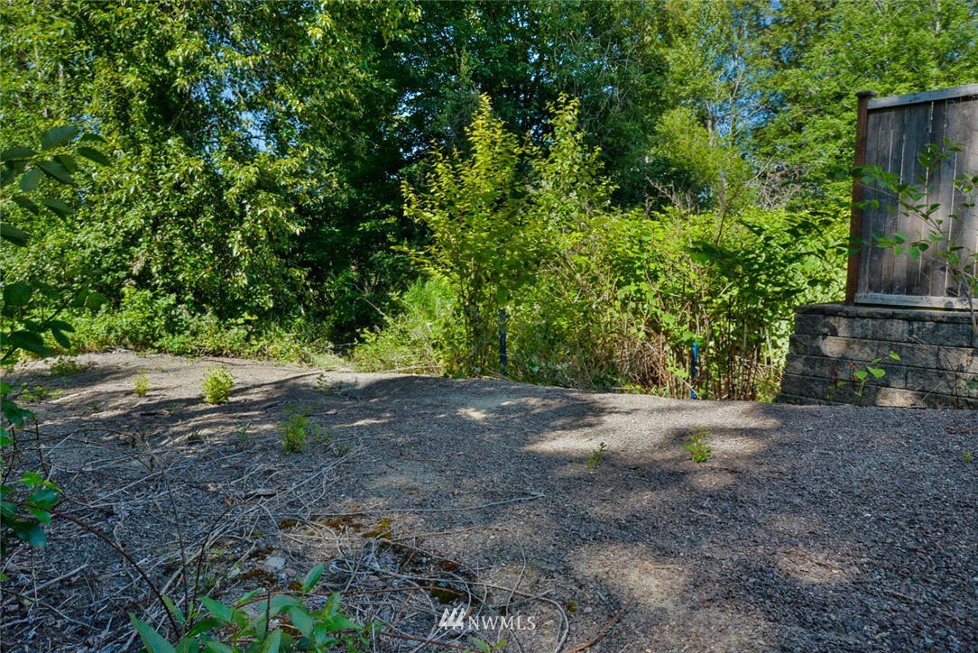 23004 Bothell Everett Highway Bothell, WA 98021 - Photo 15 of 23 a view of a yard with plants and large trees