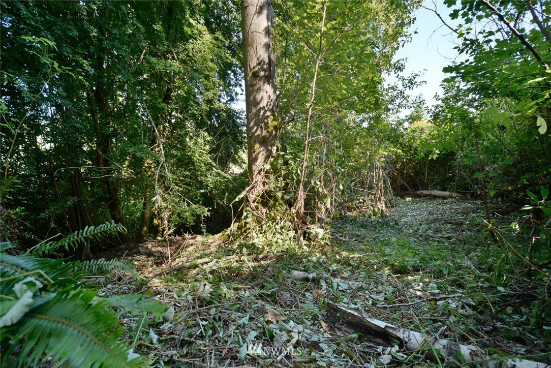 23004 Bothell Everett Highway Bothell, WA 98021 - Photo 22 of 23 a view of a lush green forest