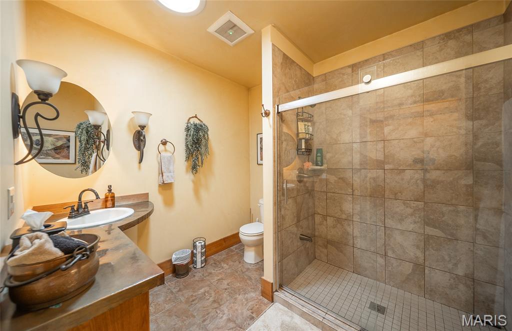 295 Panthers Den Road Makanda, IL 62958 - Photo 68 of 80
