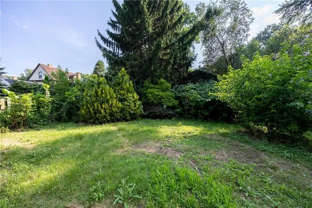 a view of a trees in a yard