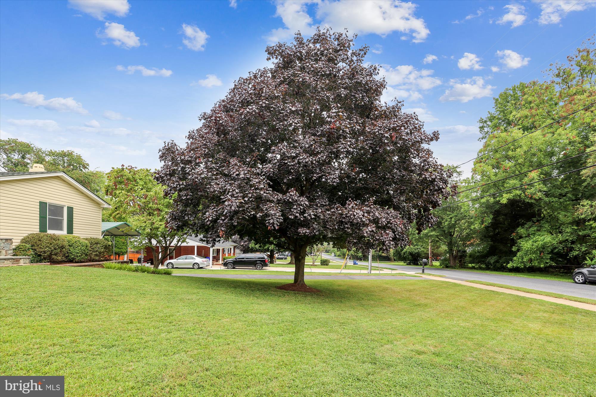 15435 Thompson Road Silver Spring, MD 20905 - Photo 38 of 59
