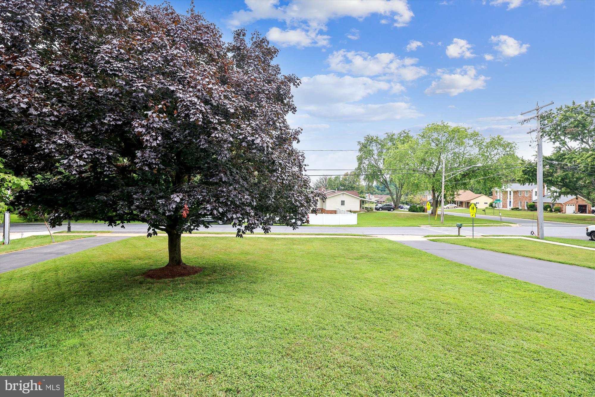 15435 Thompson Road Silver Spring, MD 20905 - Photo 42 of 59