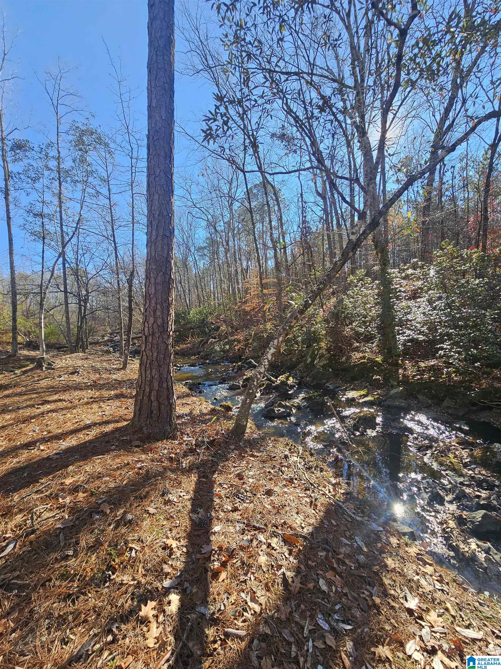 165 Joe's Fish Camp Road Titus, AL 36080 - Photo 33 of 35 Gallery Image 33
