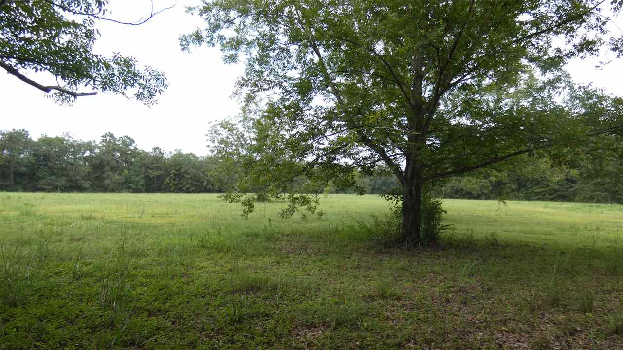 Tbd Clark Road Monticello, FL 32344 - Photo 1 of 9 Gallery Image 1