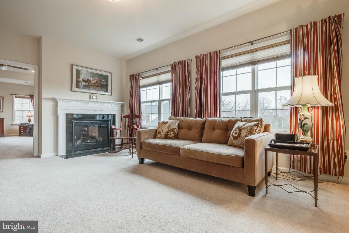 41985 Riding Mill Place Ashburn, VA 20148 - Photo 23 of 46 Master Bedroom Sitting Room with 2 Sided Fireplace