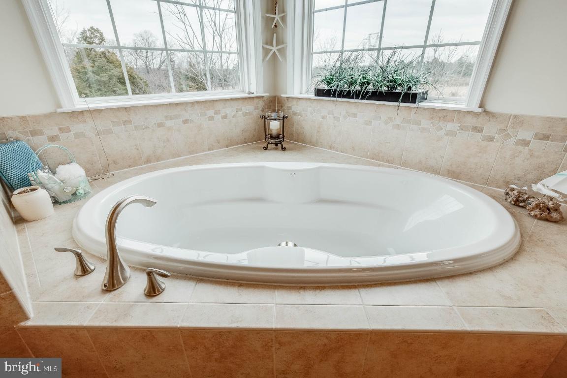 41985 Riding Mill Place Ashburn, VA 20148 - Photo 25 of 46 Soaking Tub