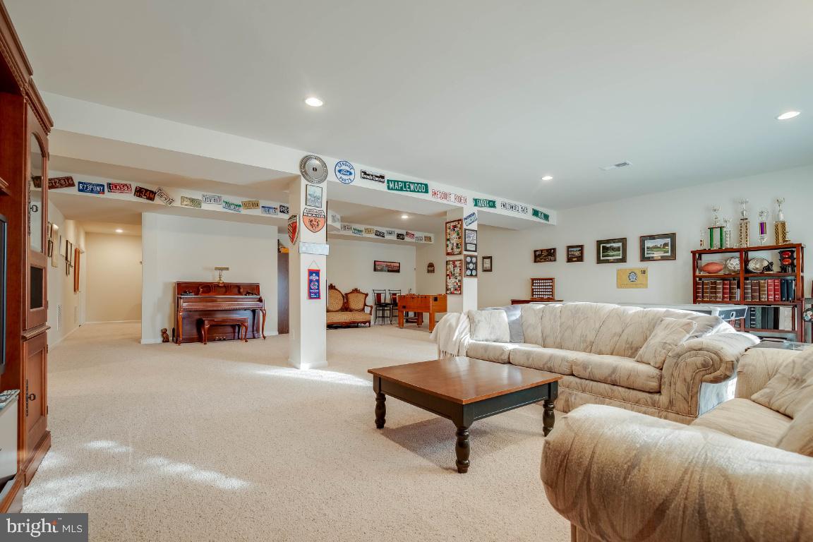 41985 Riding Mill Place Ashburn, VA 20148 - Photo 30 of 46 Huge Walkout Level Rec Room