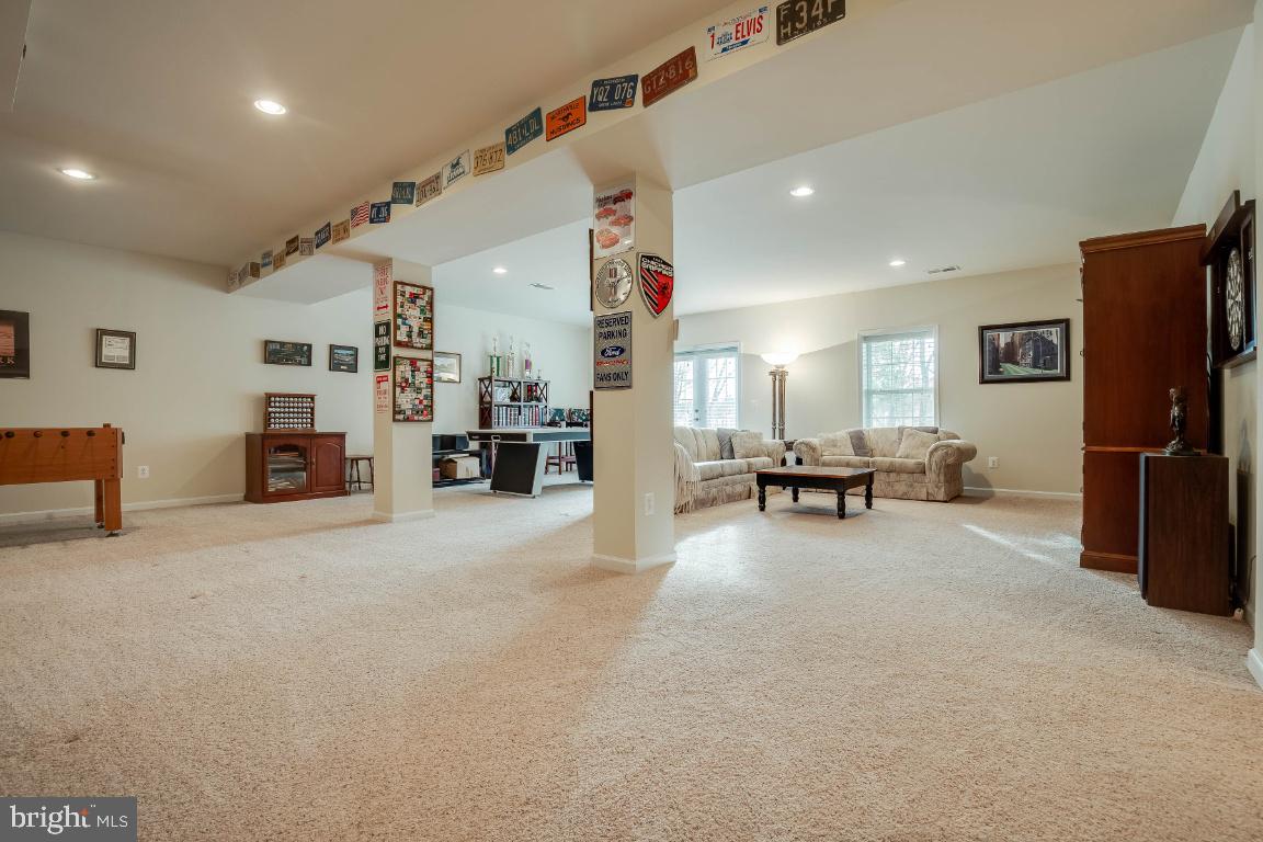41985 Riding Mill Place Ashburn, VA 20148 - Photo 31 of 46 Walkout Level Rec Room