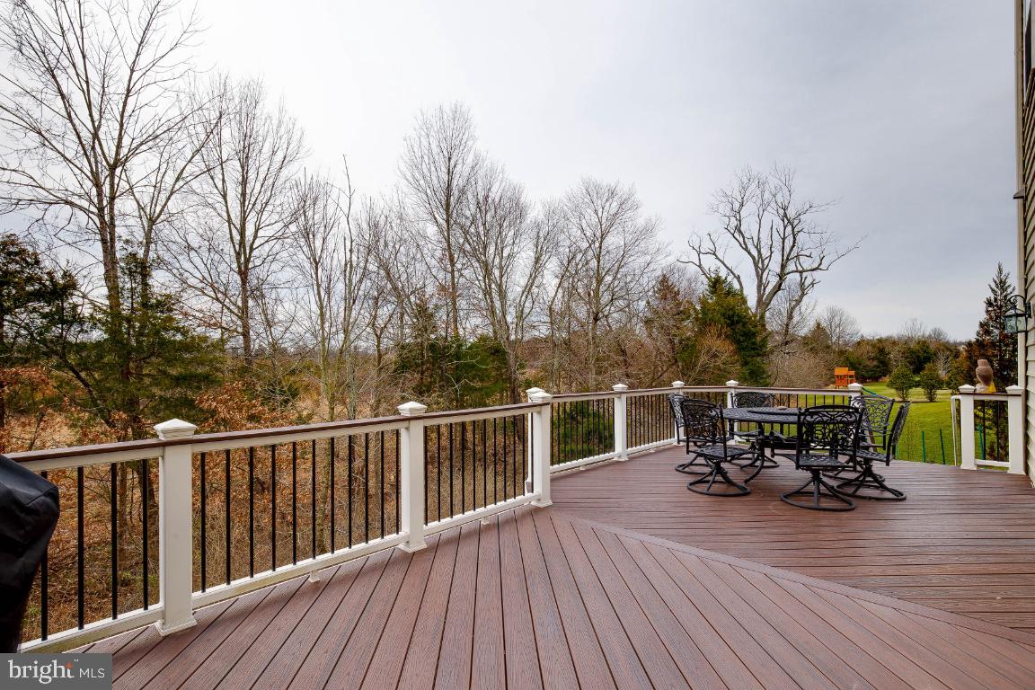 41985 Riding Mill Place Ashburn, VA 20148 - Photo 38 of 46 Great Composite Deck