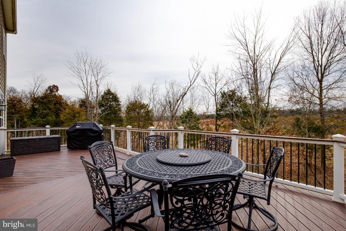 41985 Riding Mill Place Ashburn, VA 20148 - Photo 39 of 46 Composite Deck Overlooking Conservancy Land