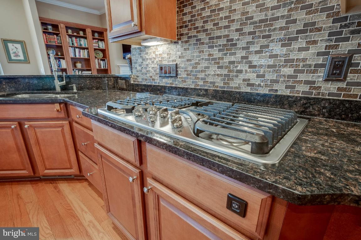 41985 Riding Mill Place Ashburn, VA 20148 - Photo 5 of 46 Granite Counters