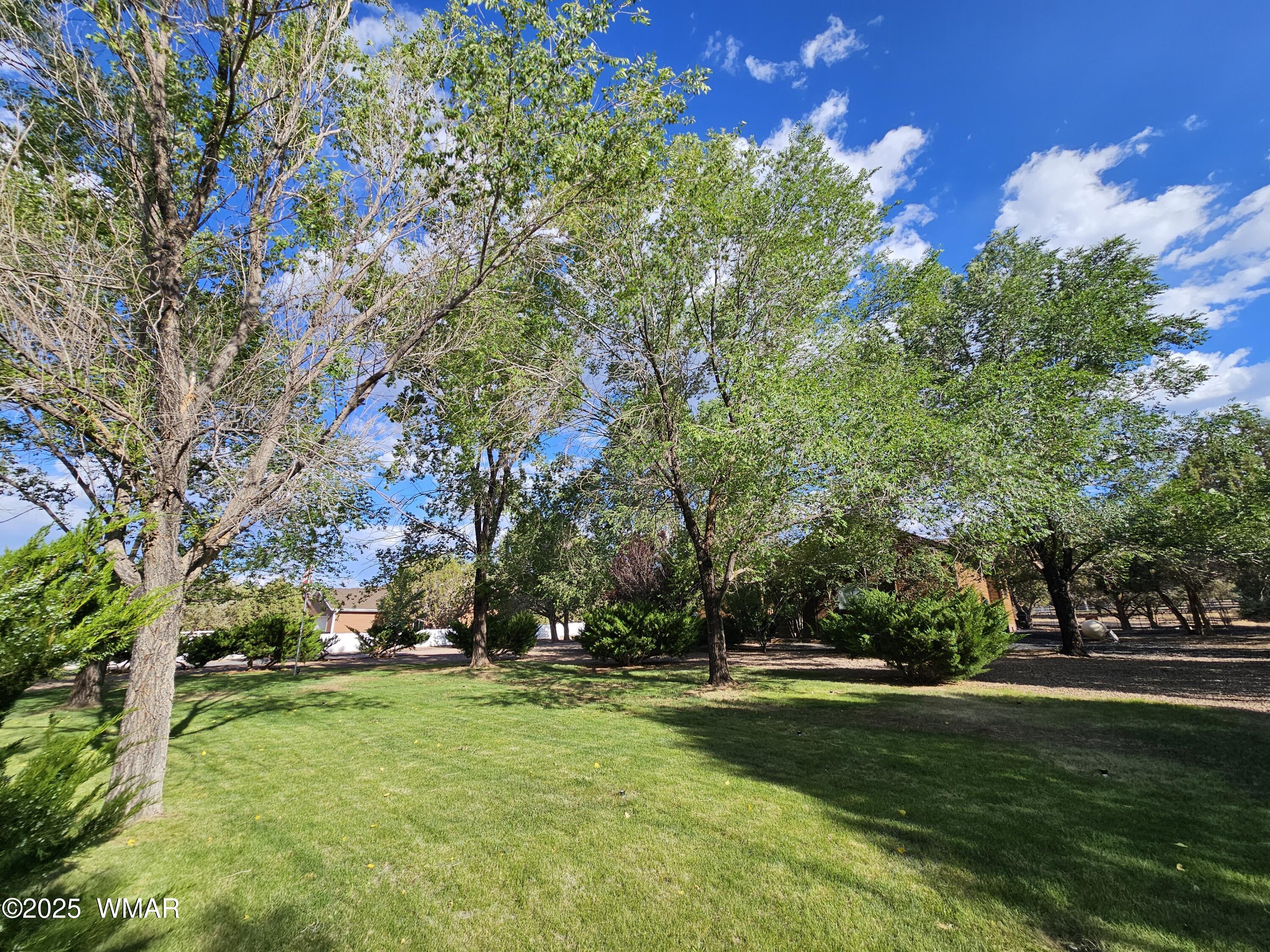 6757 Cheney Ranch Loop Show Low, AZ 85901 - Photo 62 of 77 20250627_170848
