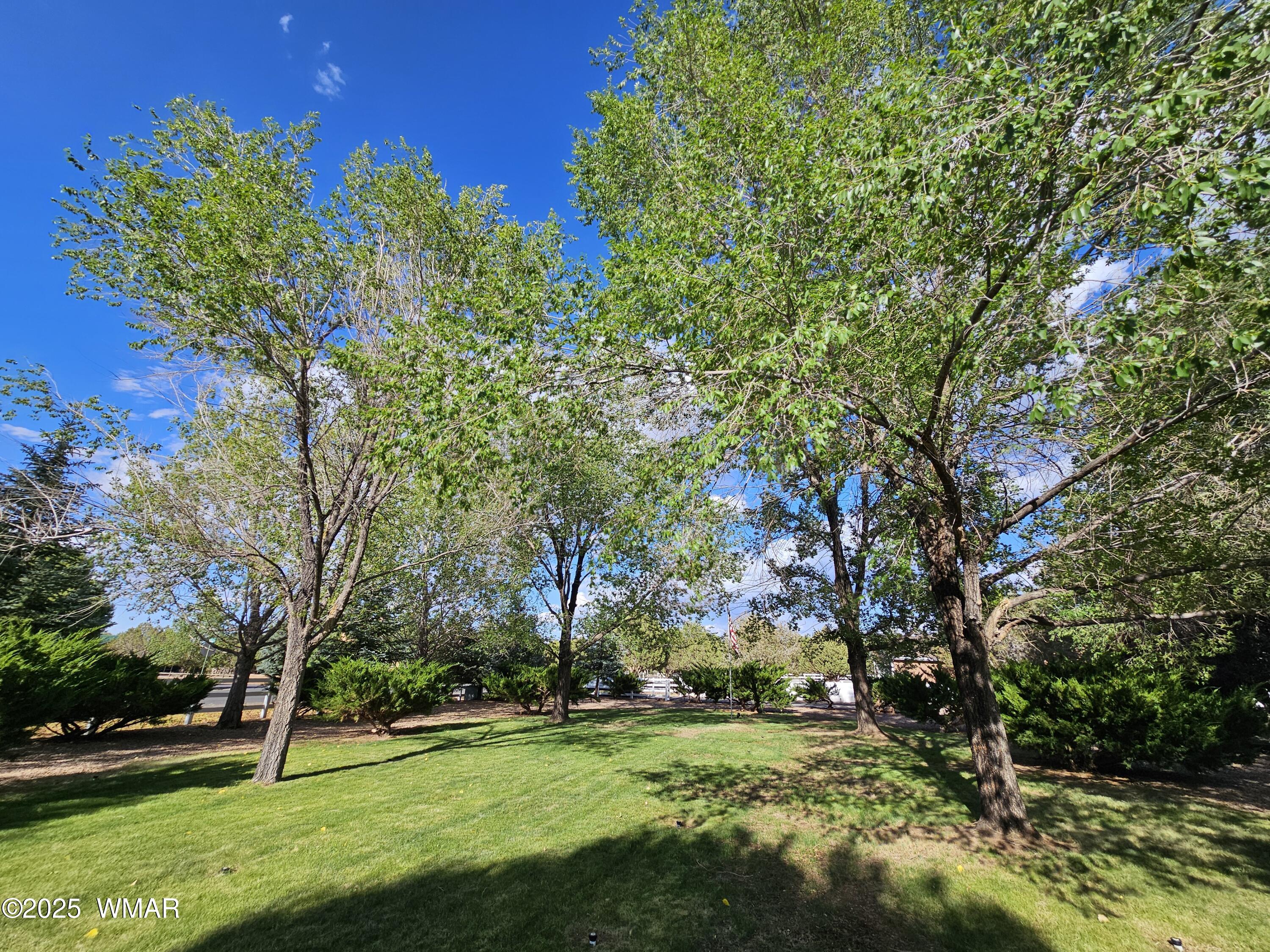 6757 Cheney Ranch Loop Show Low, AZ 85901 - Photo 63 of 77 20250627_170835