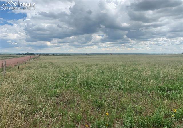 20575 Jones Road Peyton, CO 80831 - Photo 3 of 6