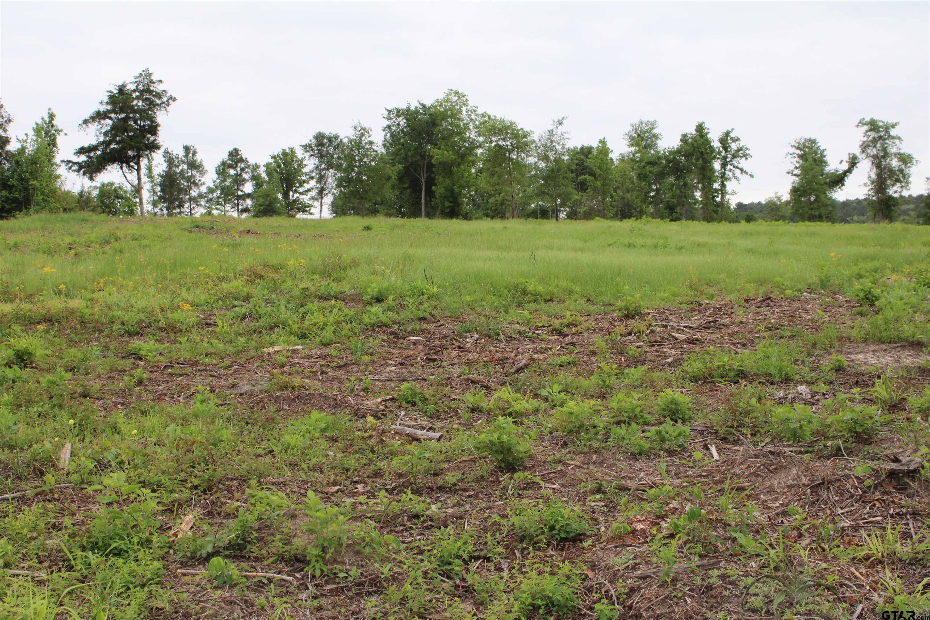 2217 Rusk Tx 75785 Rusk, TX 75785 - Photo 1 of 1 Gallery Image 1