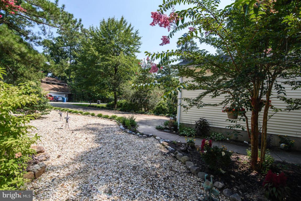 17 Mist Flower Road Ocean Pines, MD 21811 - Photo 48 of 49 a backyard of a house with lots of green space