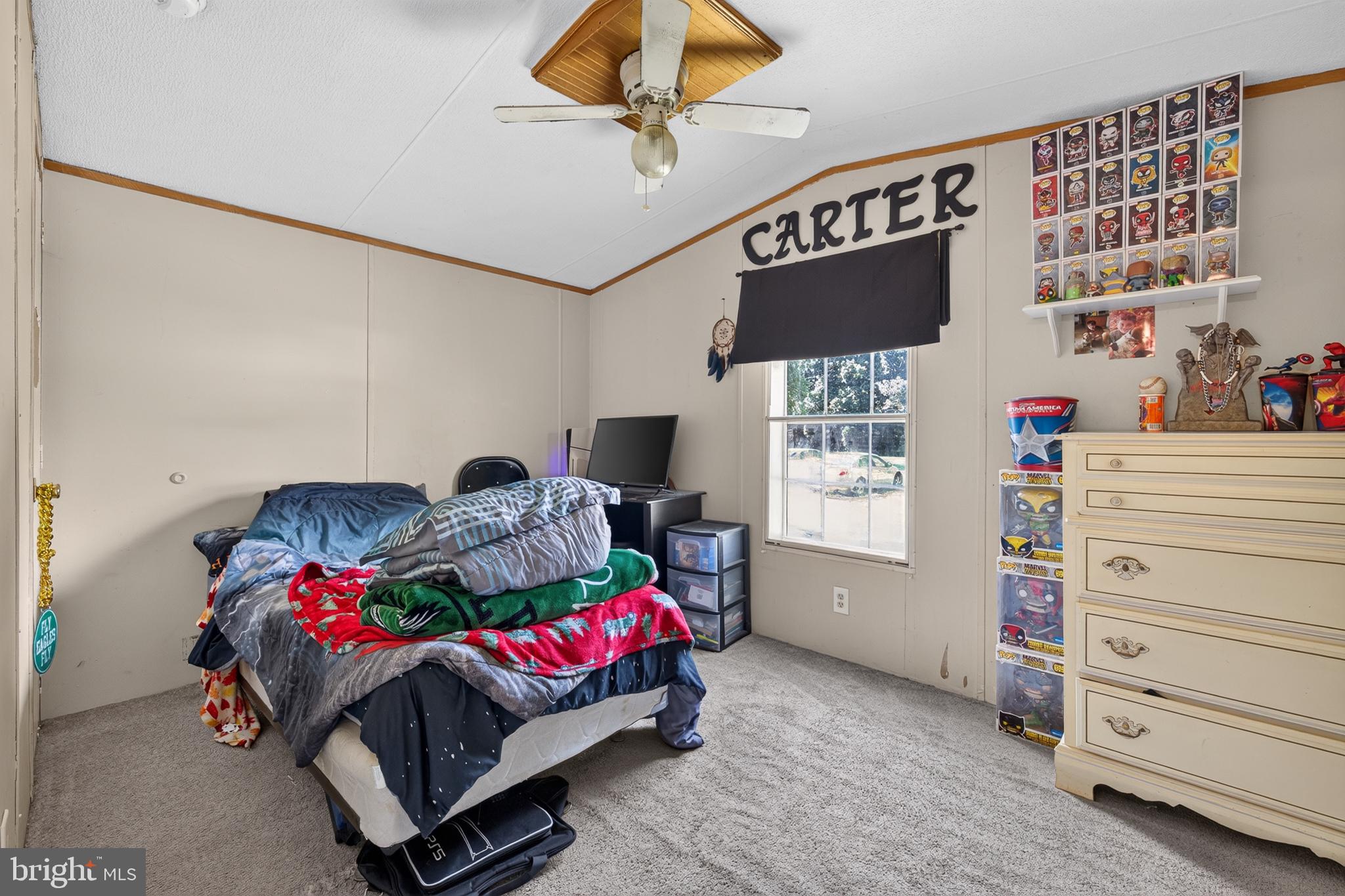 8 West Reybold Drive, Unit 8 Middletown, DE 19709 - Photo 16 of 30 Cozy room with personal touches.