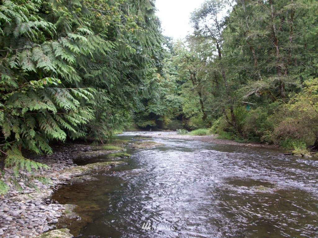 0 West River Run Road Elma, WA 98541 - Photo 1 of 3 Gallery Image 1
