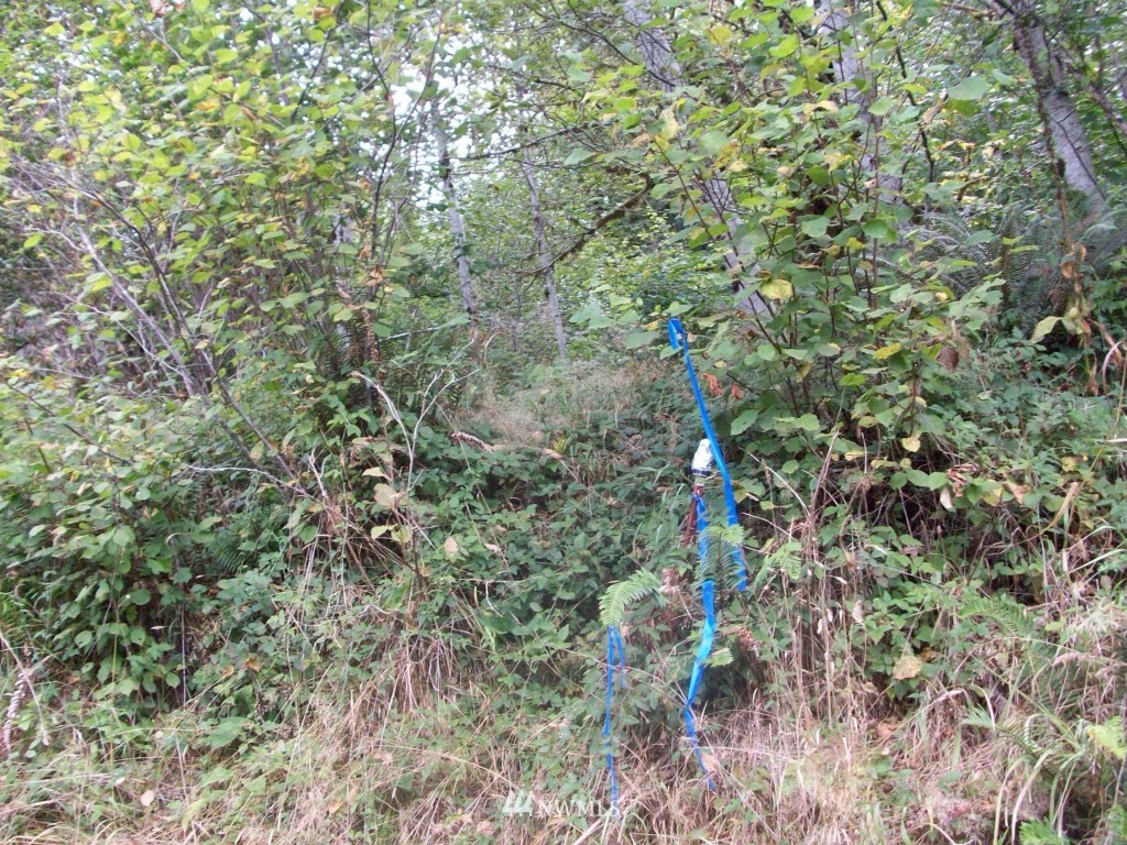 0 West River Run Road Elma, WA 98541 - Photo 3 of 3 Gallery Image 3