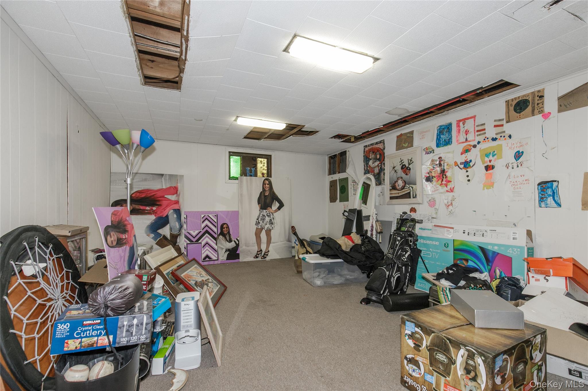 61 Mitchell Avenue Plainview, NY 11803 - Photo 19 of 24 a view of a room with gym equipment