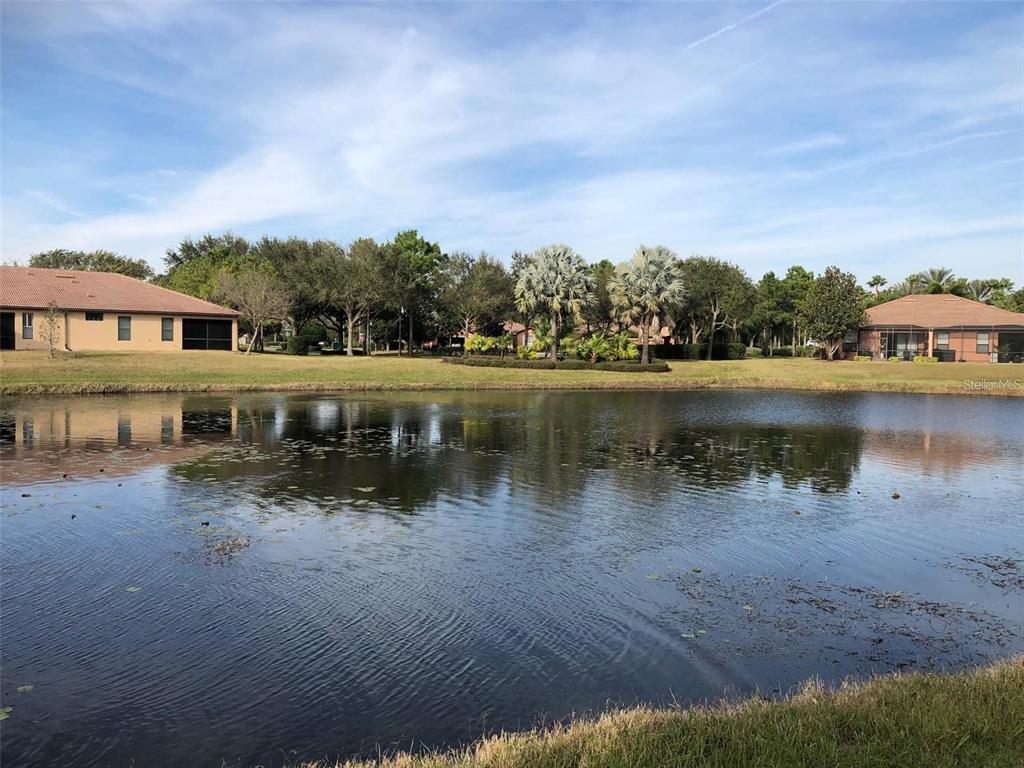 140 Shell Falls Drive Apollo Beach, FL 33572 - Photo 23 of 48