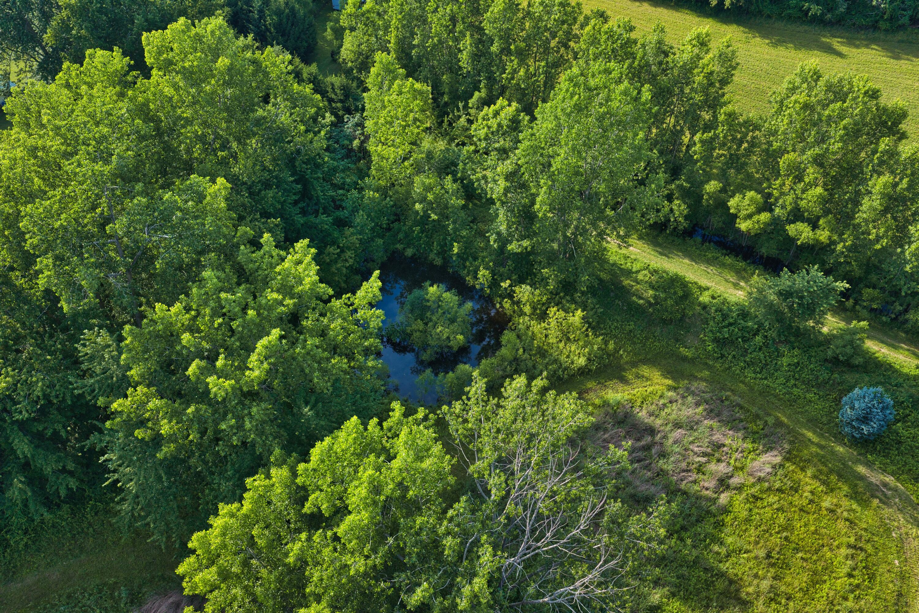 437 South Centennial Road Coldwater, MI 49036 - Photo 20 of 36 437 S Centennial - CDS - 7-8-26_23