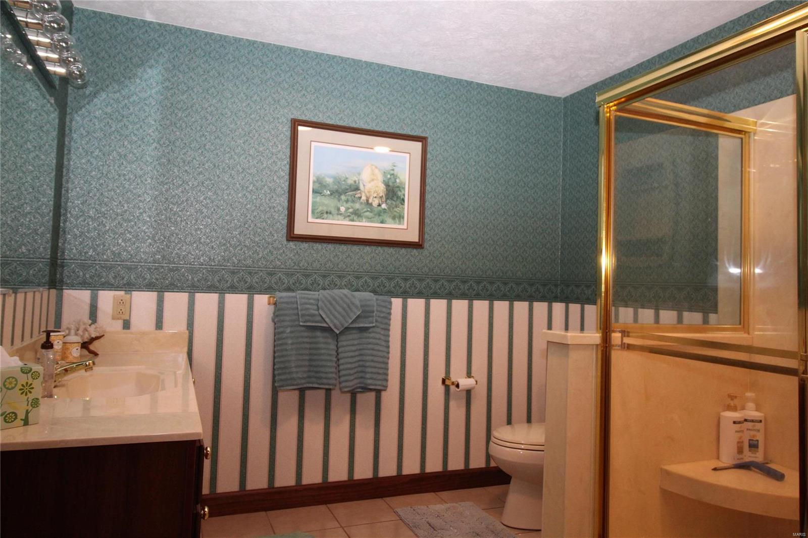 6607 Il Rt 152 Du Quoin, IL 62832 - Photo 34 of 64 Gallery Image 34