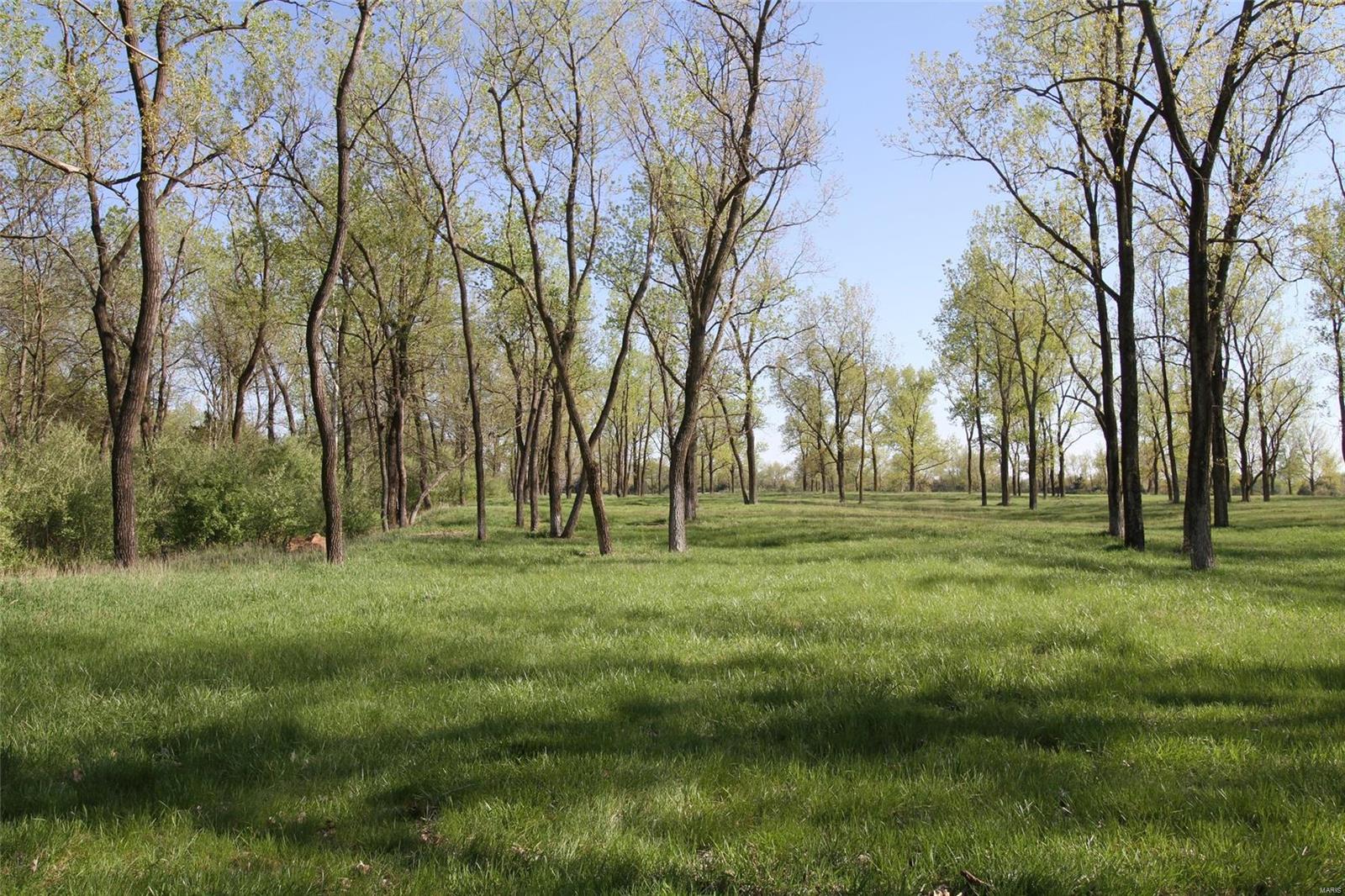 6607 Il Rt 152 Du Quoin, IL 62832 - Photo 52 of 64 Gallery Image 52