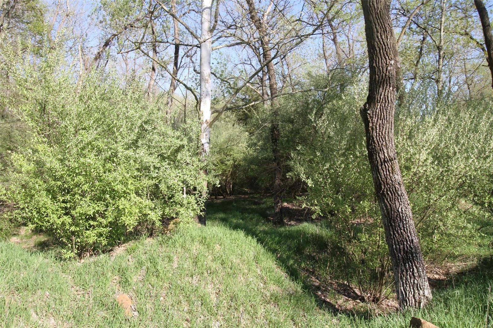 6607 Il Rt 152 Du Quoin, IL 62832 - Photo 53 of 64 Gallery Image 53