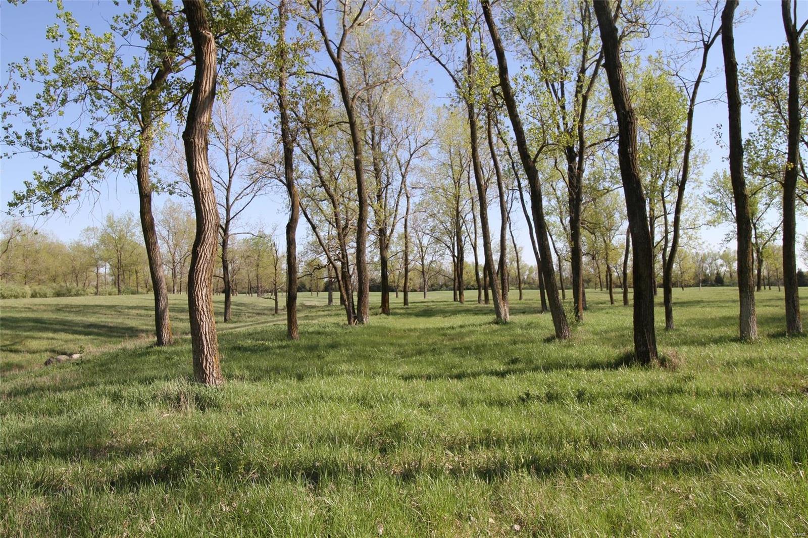 6607 Il Rt 152 Du Quoin, IL 62832 - Photo 55 of 64 Gallery Image 55