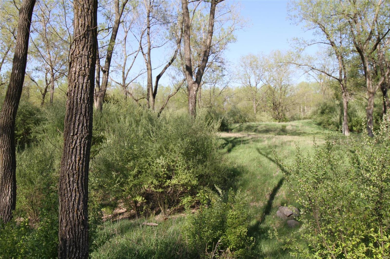 6607 Il Rt 152 Du Quoin, IL 62832 - Photo 56 of 64 Gallery Image 56
