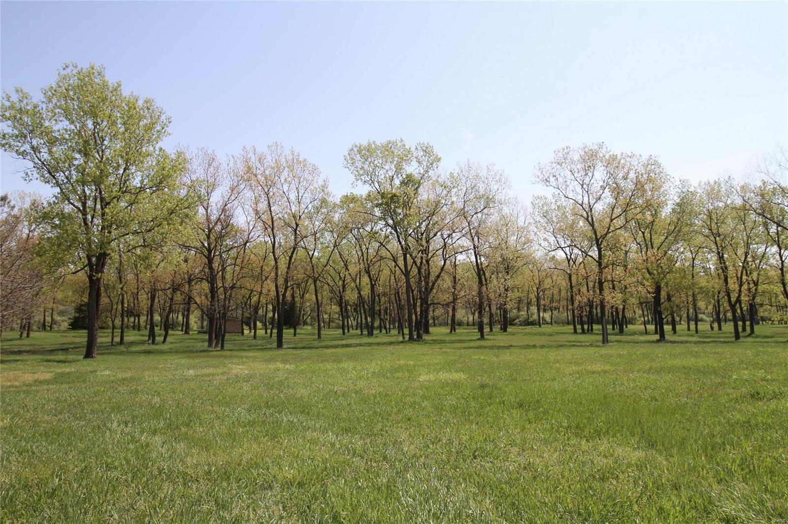 6607 Il Rt 152 Du Quoin, IL 62832 - Photo 59 of 64 Gallery Image 59