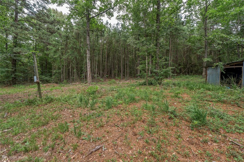175 Magnolia Road Dubberly, LA 71024 - Photo 9 of 37