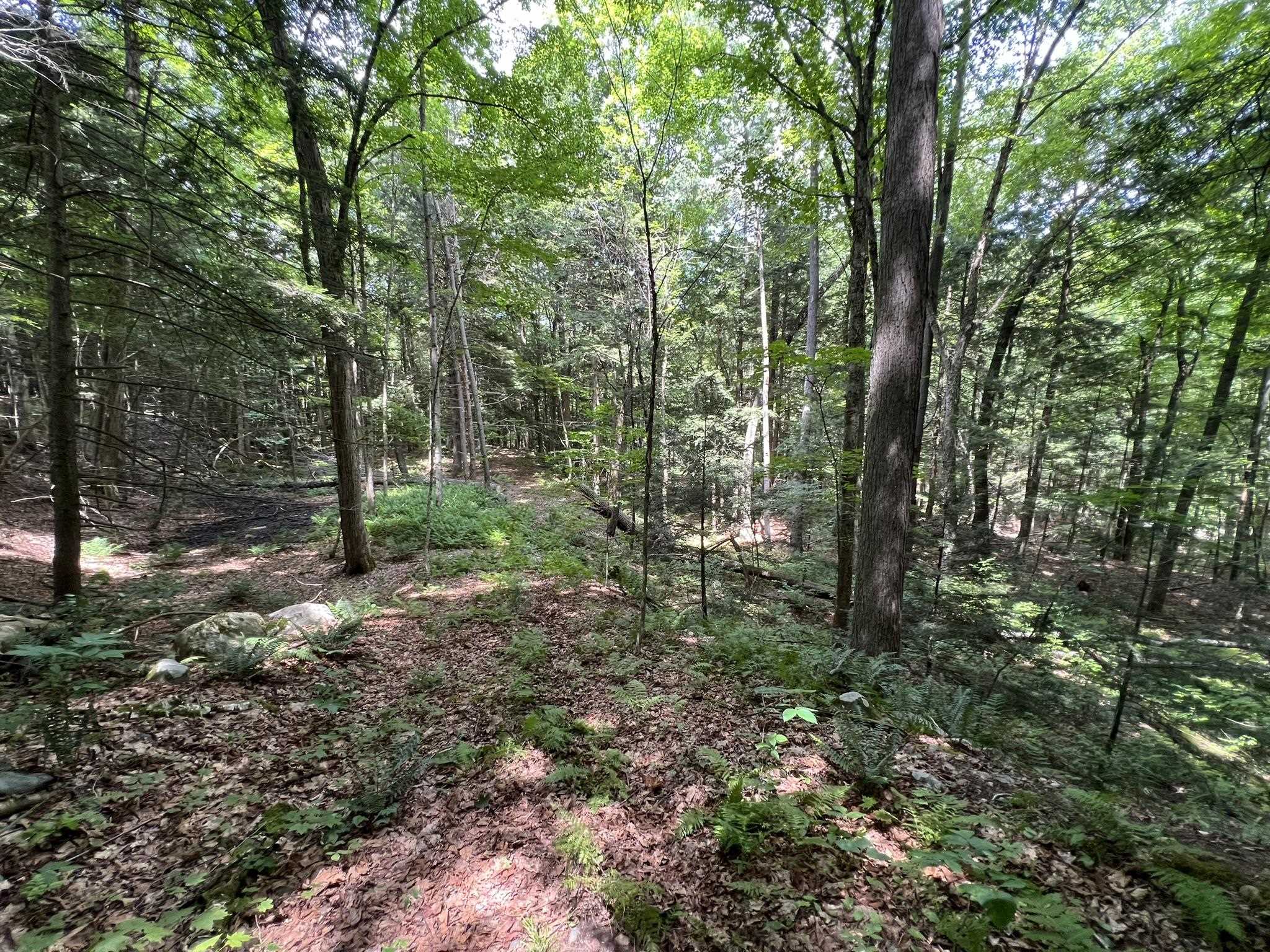 0 Wheeler Rand Road Charlestown, NH 03603 - Photo 11 of 33