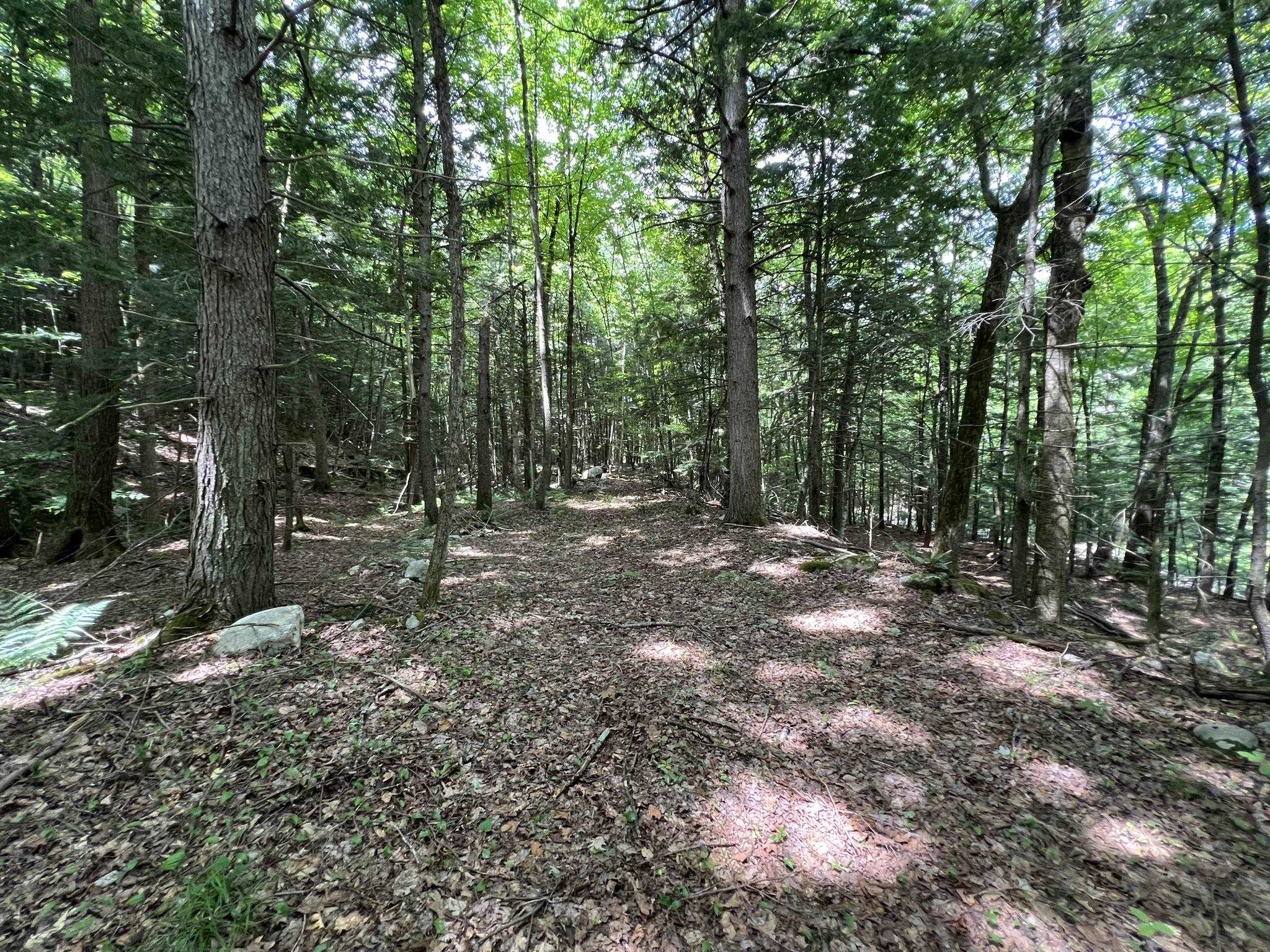 0 Wheeler Rand Road Charlestown, NH 03603 - Photo 20 of 33