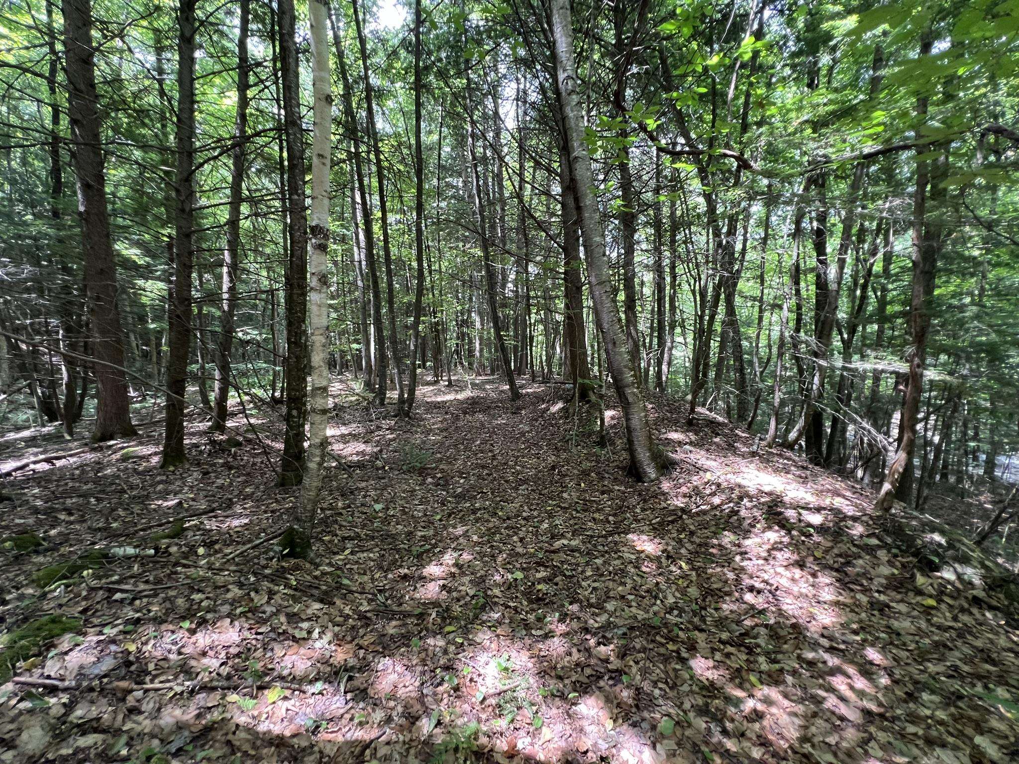 0 Wheeler Rand Road Charlestown, NH 03603 - Photo 21 of 33