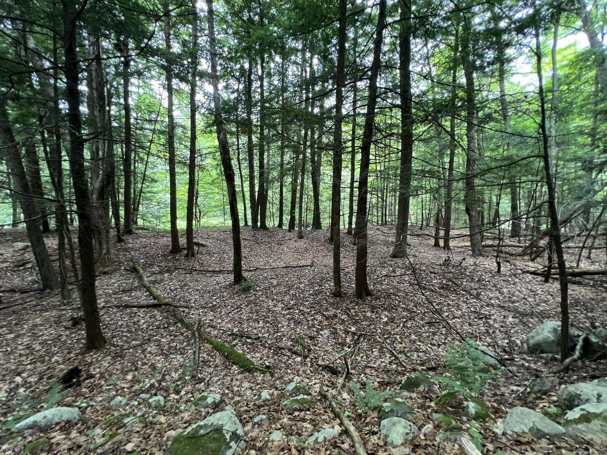 0 Wheeler Rand Road Charlestown, NH 03603 - Photo 23 of 33