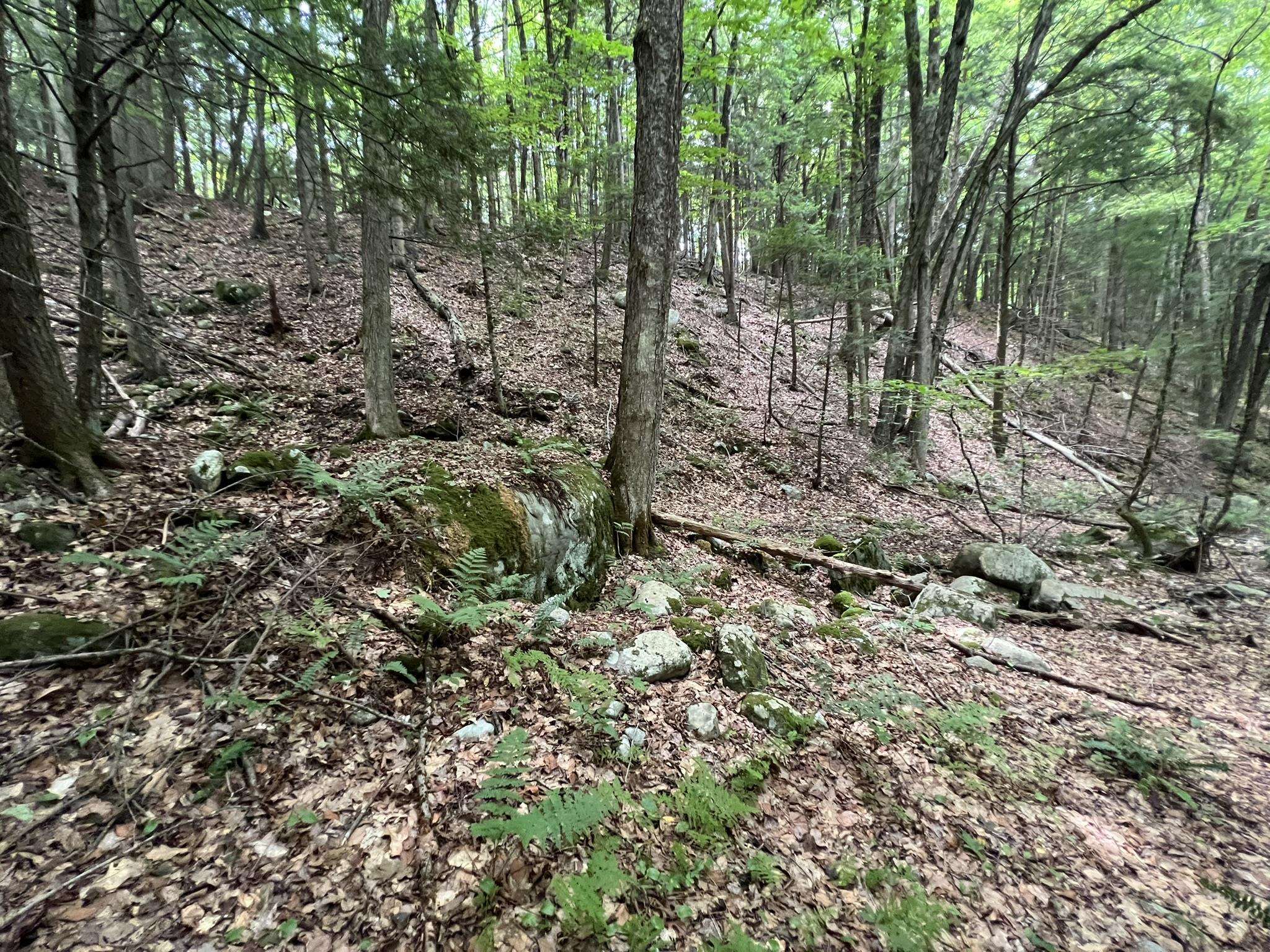 0 Wheeler Rand Road Charlestown, NH 03603 - Photo 25 of 33