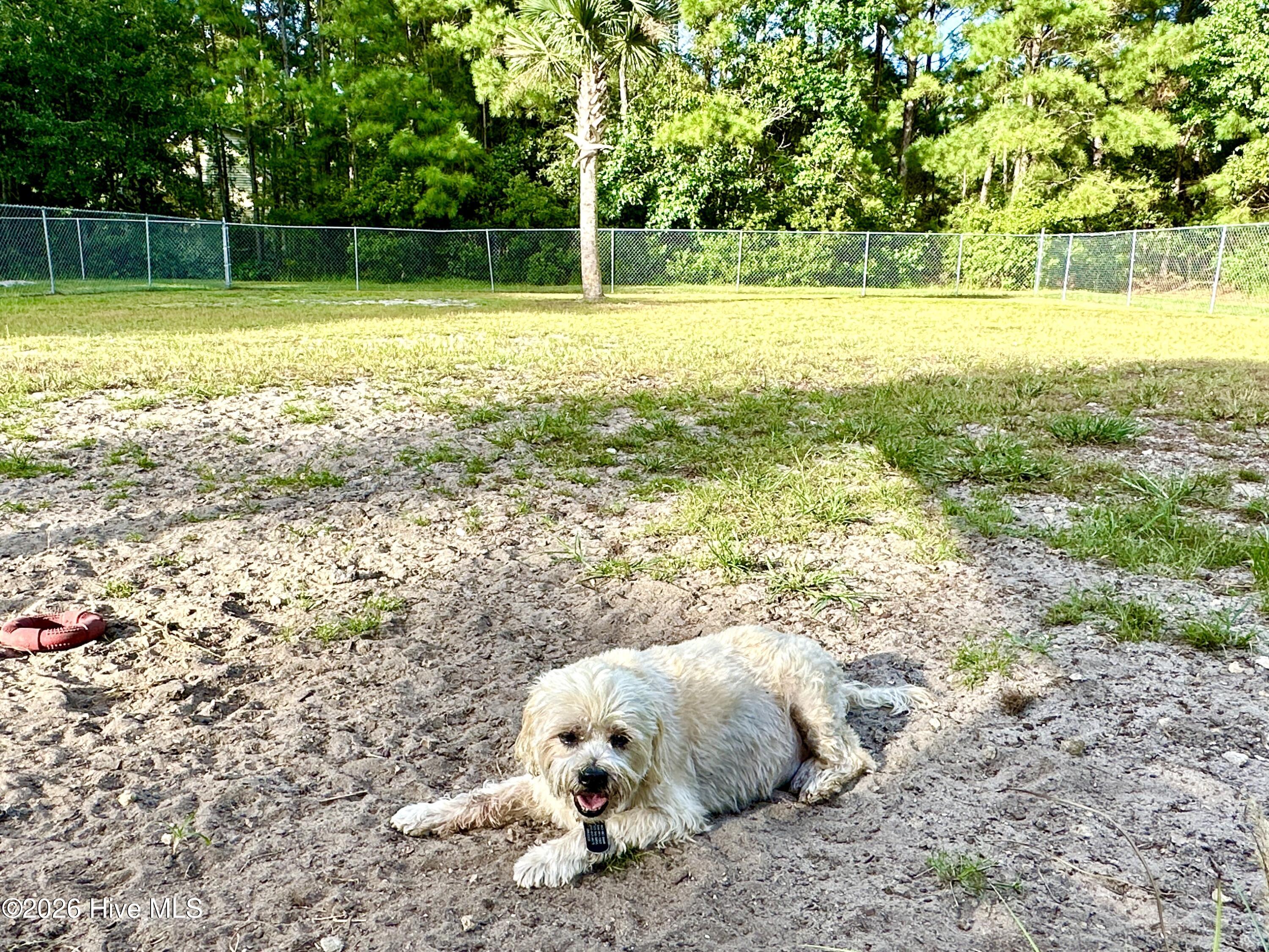 802 Black Swan Road New Bern, NC 28560 - Photo 54 of 57 19