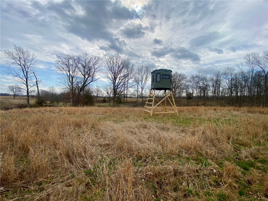 77 Wildcat Road Winchester, OH 45697 - Photo 13 of 19 Expansive acreage provides diverse opportunities for outdoor pursuits and natural beauty.